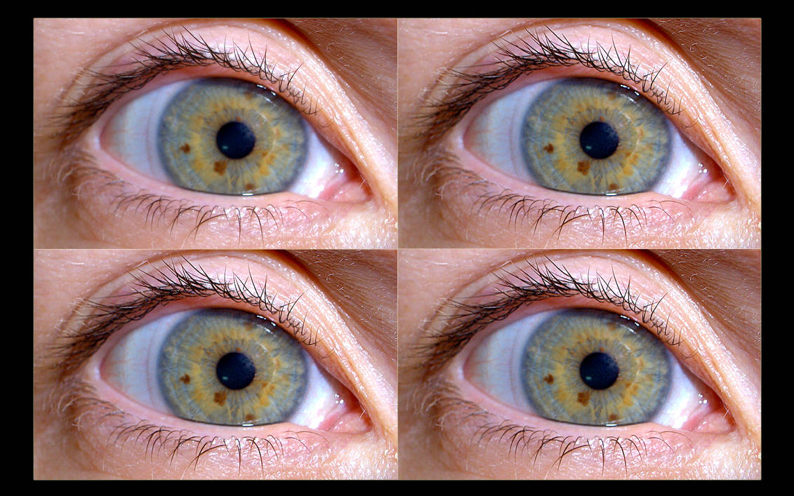 4 eyez by blackbelly on DeviantArt