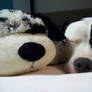 pillowpet plus pibble-pet equals love