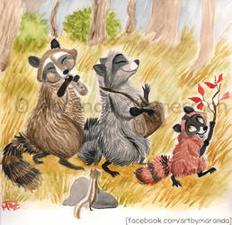 Raccoon March