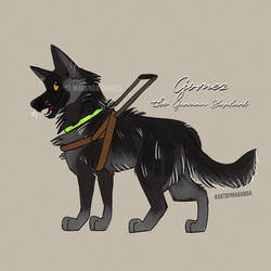 Gomez the German Shepherd