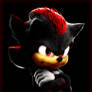 SHADOW THE HEDGEHOG LIVE ACTION