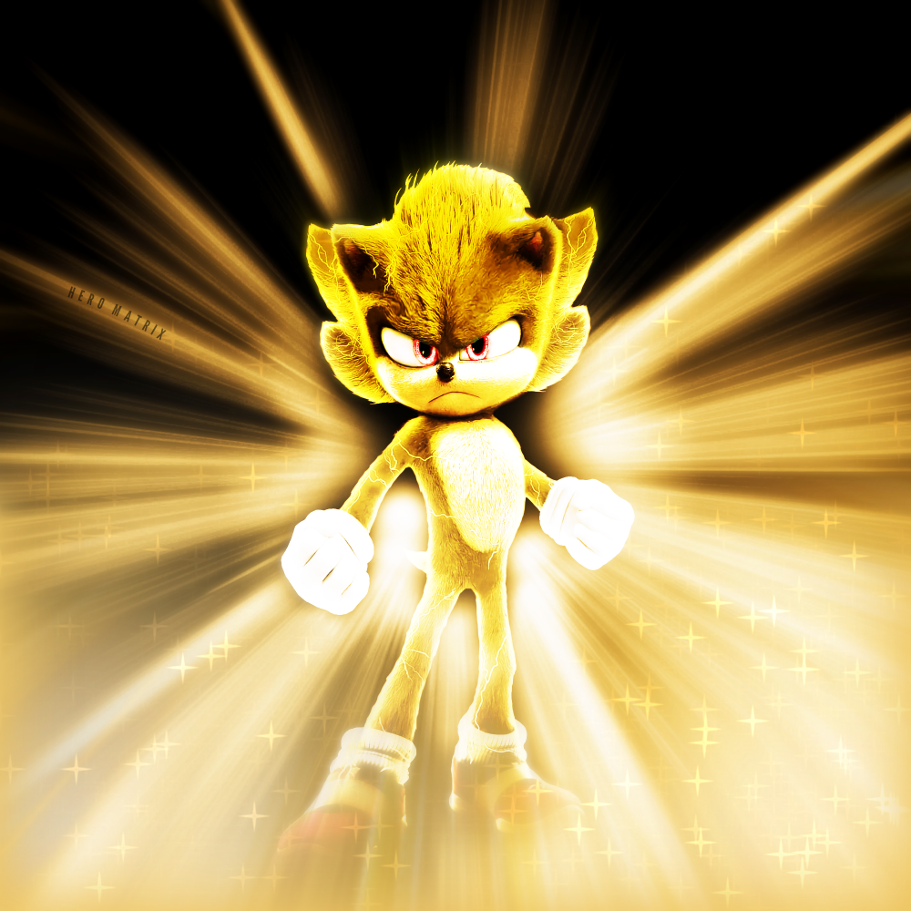 Sonic The Hedgehog The Movie Poster:Gotta Go Fast by Sonic29086 on  DeviantArt