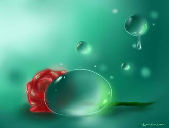 Dewdrops and a Rose by emenemomo