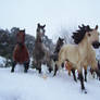 Running Through The Snow3