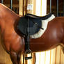 English Saddle