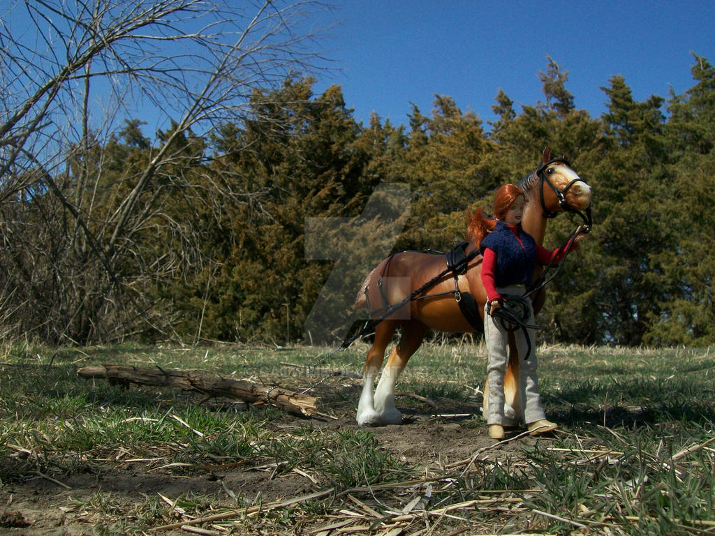 Logging?