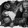 Lord Stark of Winterfell