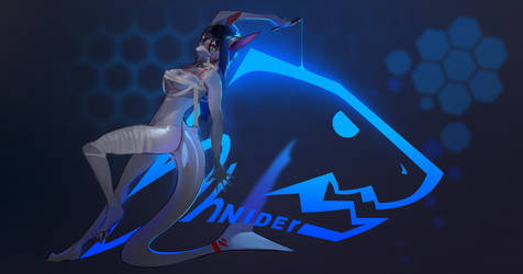 Shnider Logo