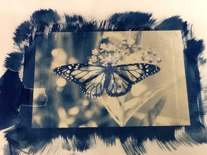 Cyanotype