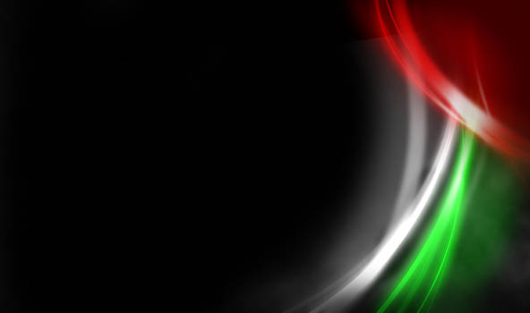 Palestinian Flag