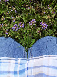 Skirt, Pants, Grass and Flower