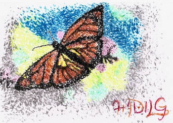 DotButterfly