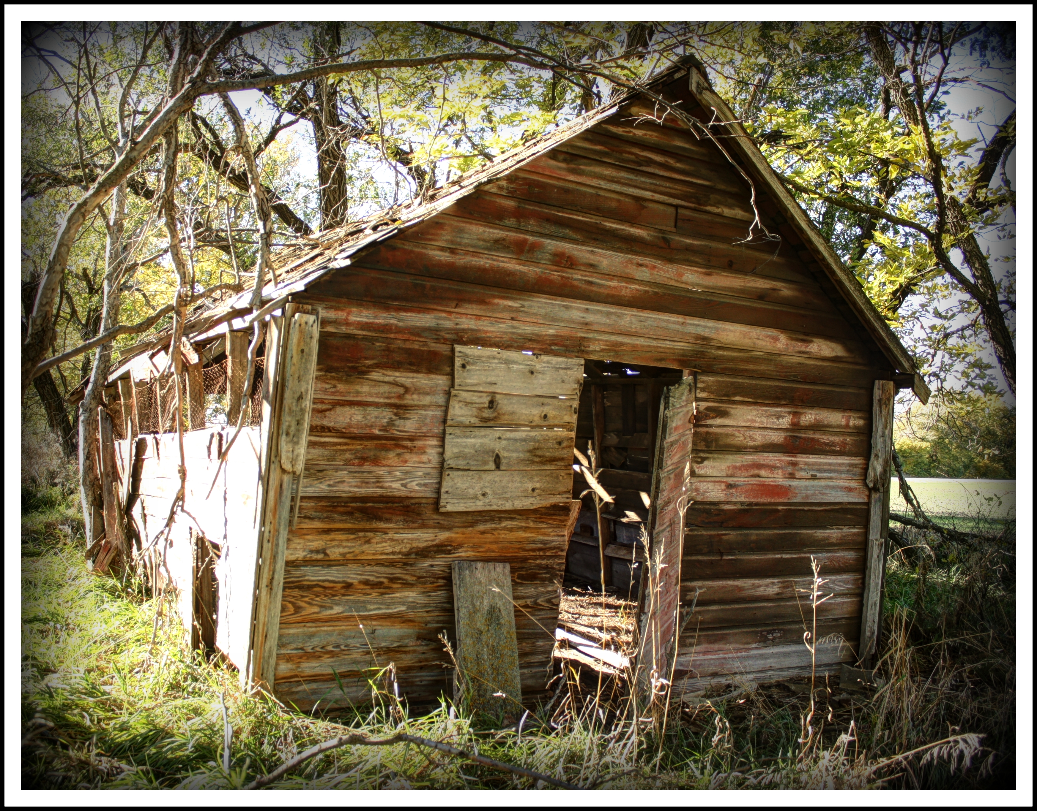 An Old Shed of Unknown Use