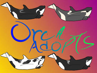 Orca Calf Adoptables! CLOSED