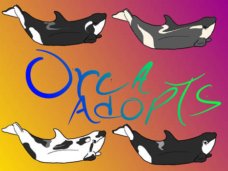 Orca Calf Adoptables! CLOSED