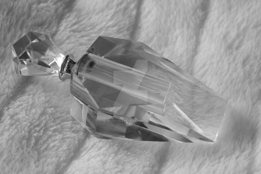 Pictorialism Perfume Bottle Monochrome