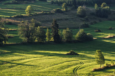 Green field II. by Tommil19
