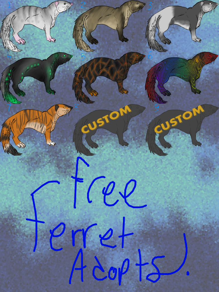 Free Ferret Adoptables #1