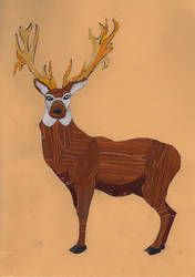 Brown Stag