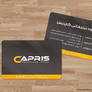 Capris Advertising Group