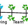 Sled Dog Team Positions