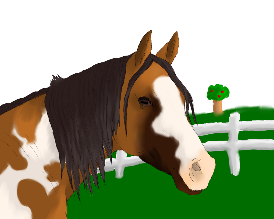 Chillin in the pasture