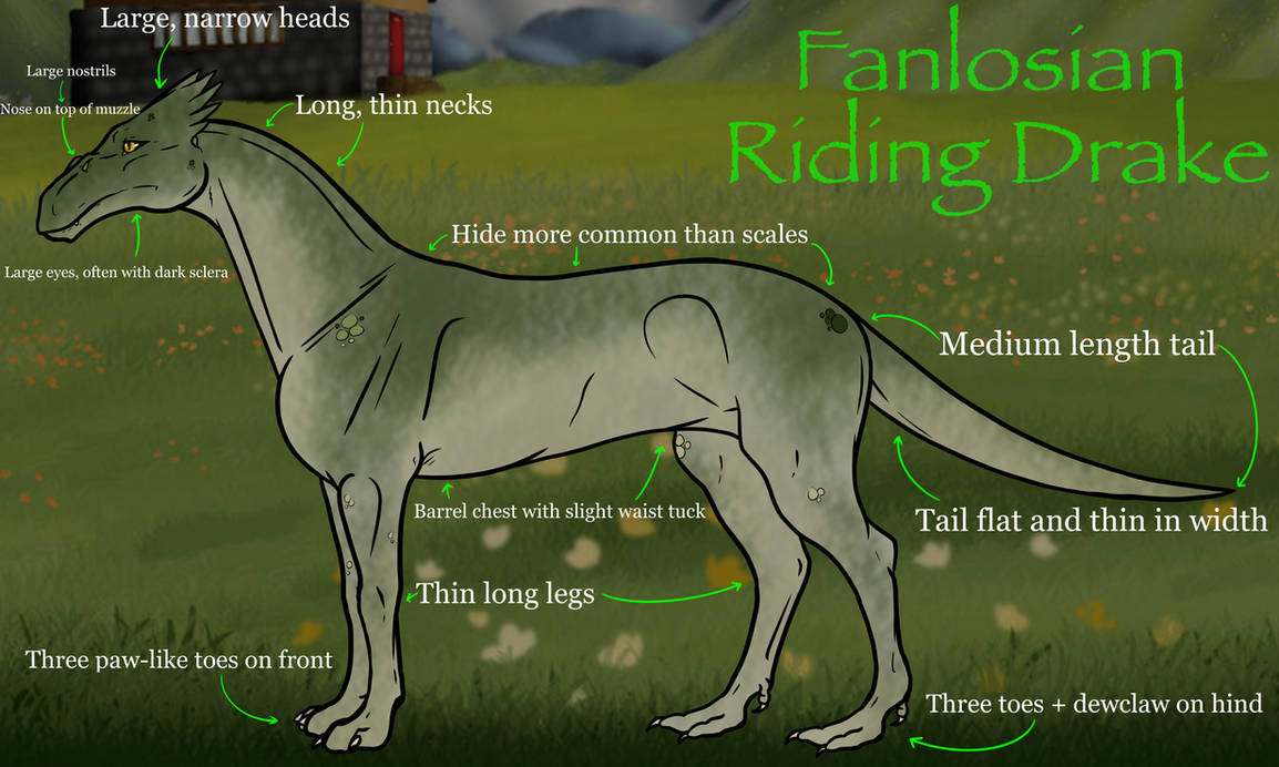 Fanlosian Riding Drake - Open Species by Matsi-Doodles on DeviantArt