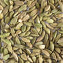 Green Cardamom 01