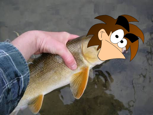 Mircale Fish miracle fish by lexusville on DeviantArt