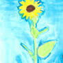 35 - Sunflower / Tournesol