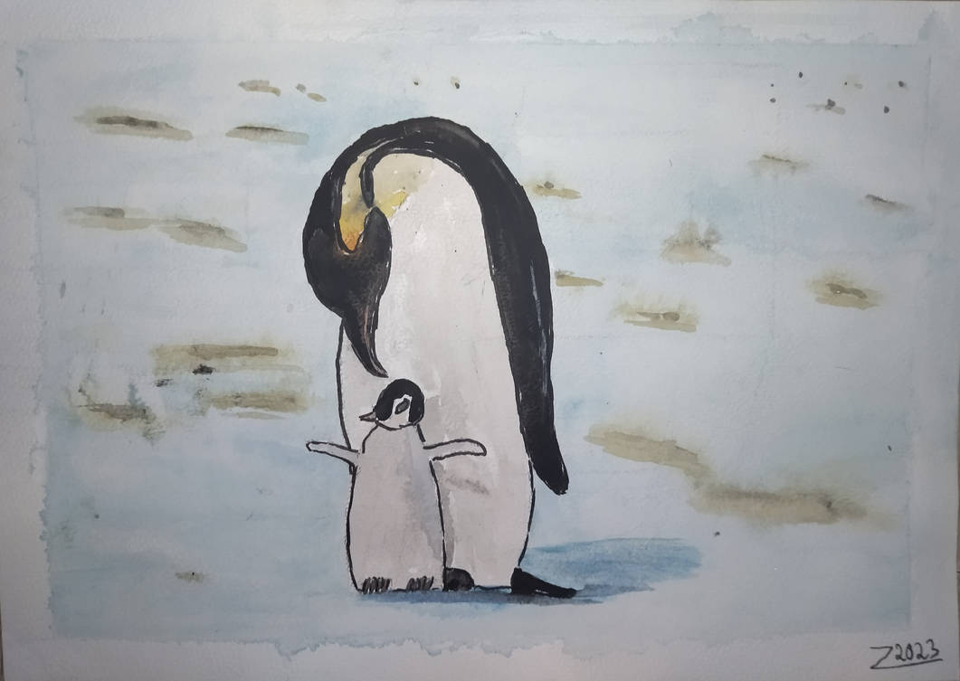 Pong le Pingouin, Modèles
