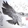 IP5 - Eagle