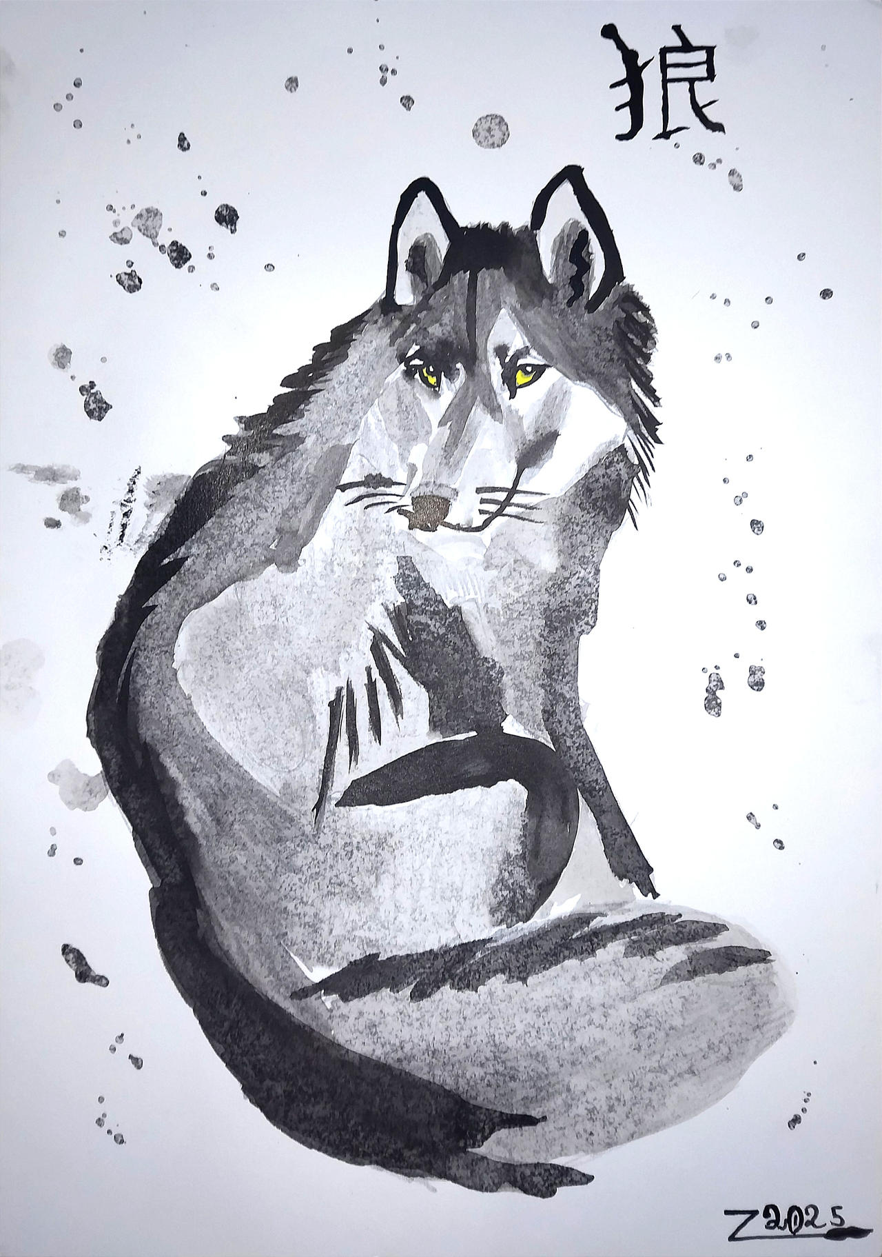 IP26 - Gray wolf