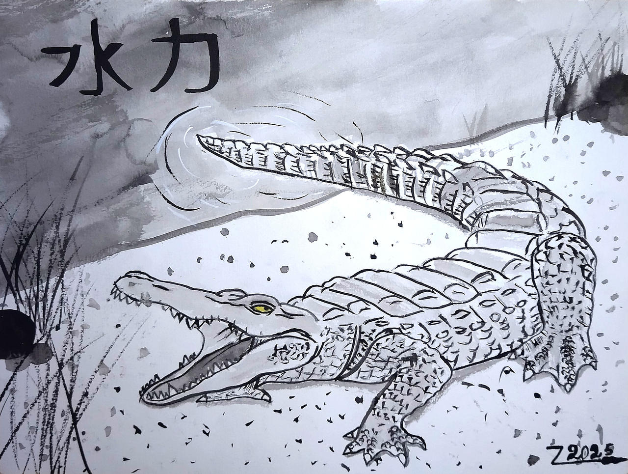 IP30 - Crocodile