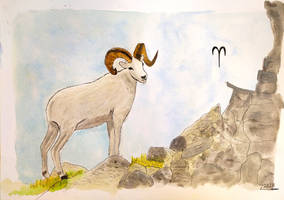 W209 - Aries