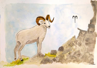 W209 - Aries