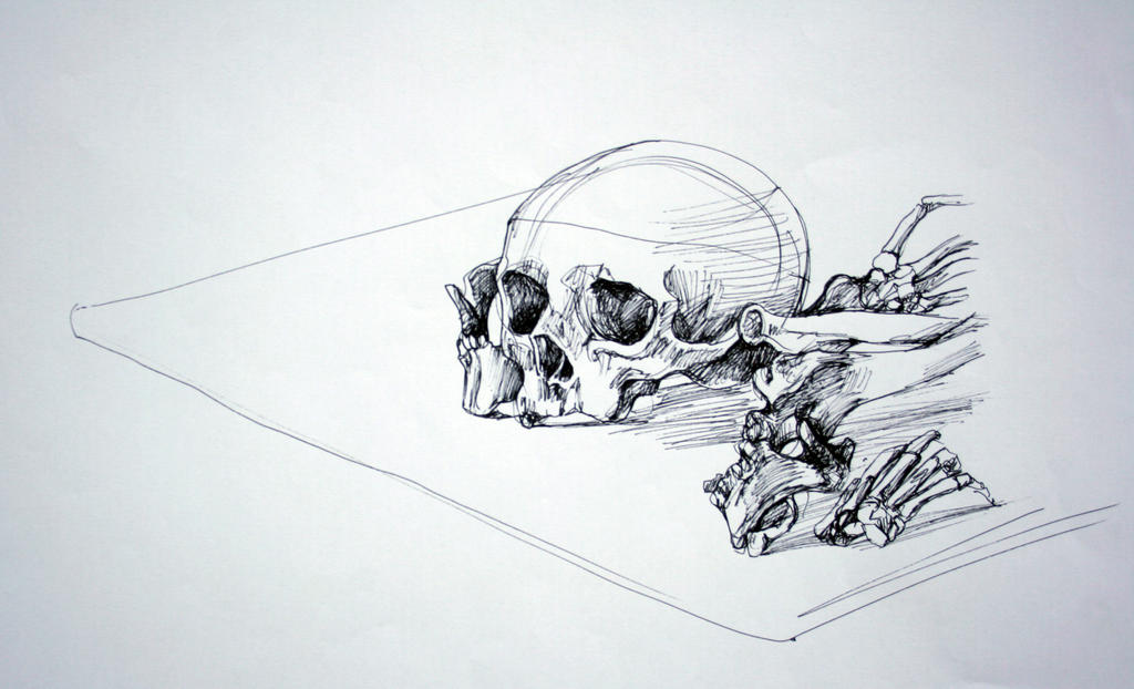 Pen on paper - skull on table