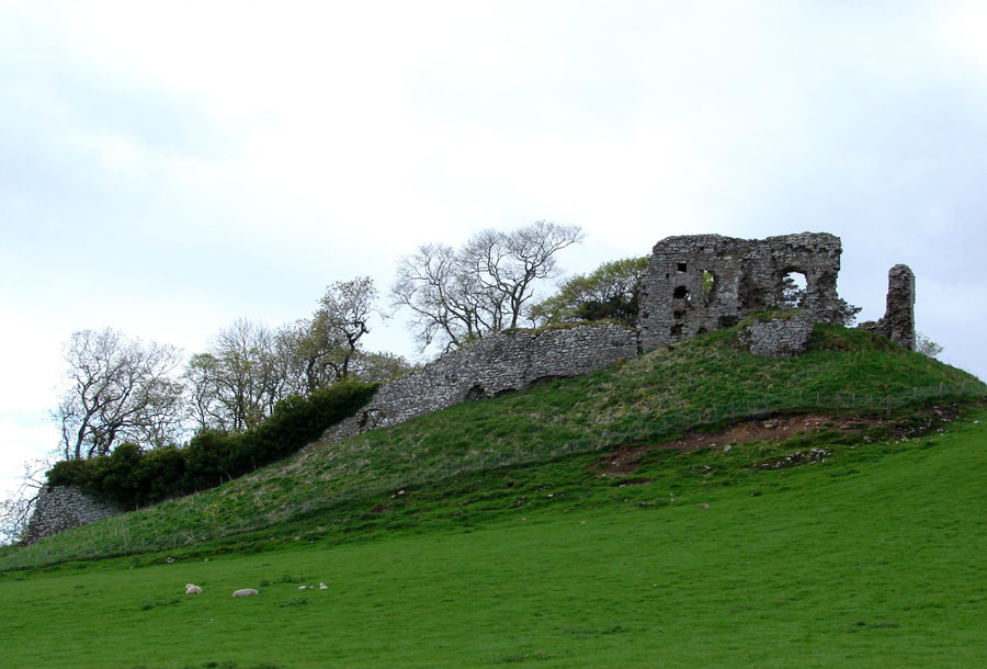 Skelbo Castle