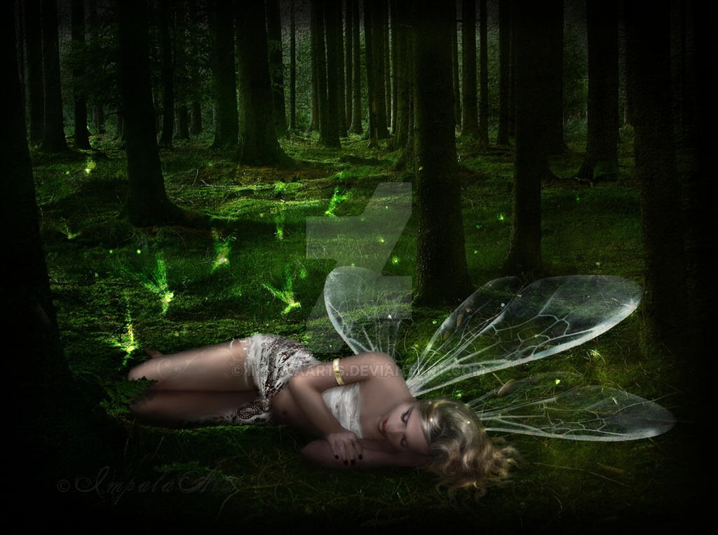 Time of the Faeries