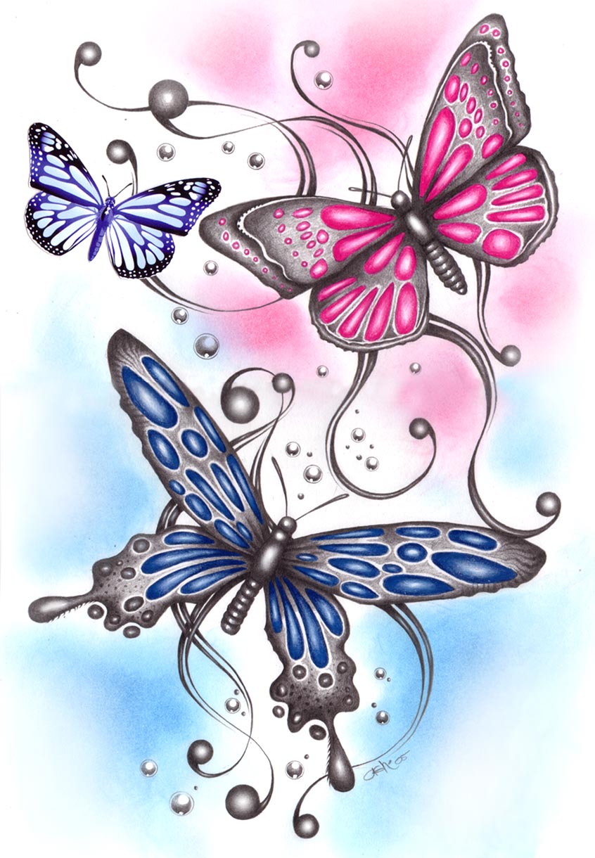 3 drawn butterflies