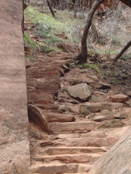 : forest stairs :