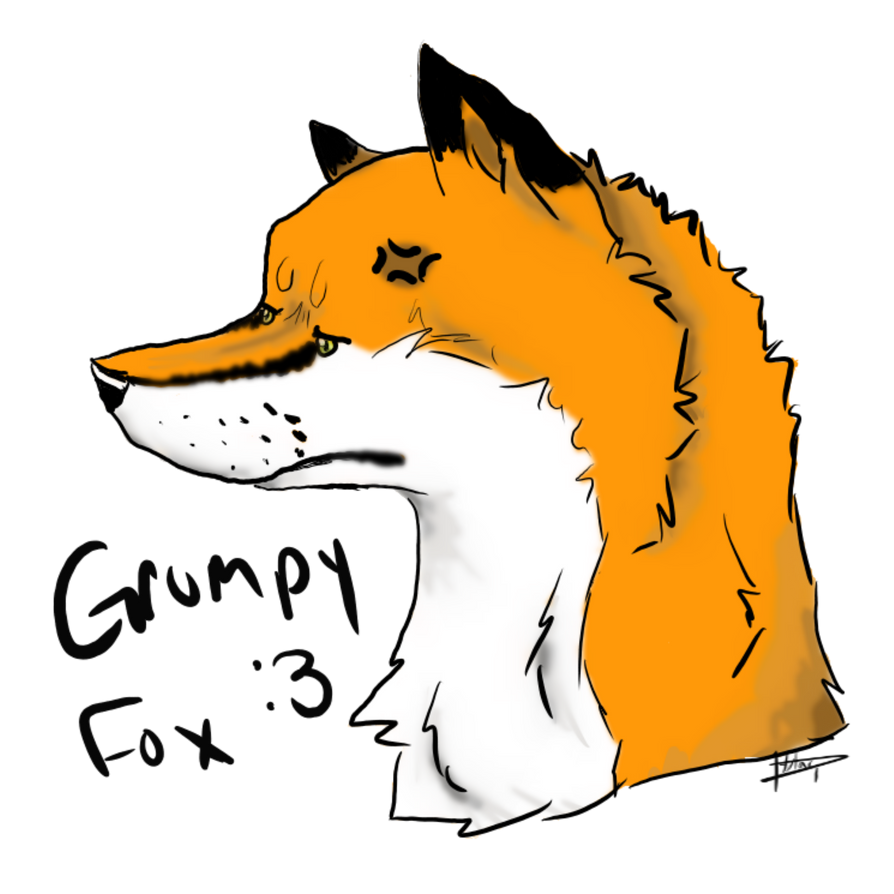 Grumpy Fox RQ by Thats-Bogus on DeviantArt