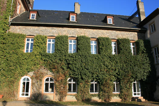 Laubach castle 6