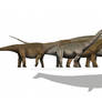 Largest Sauropods?