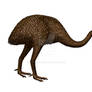 Megalapteryx didinus, Upland moa