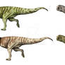 Carnotaurus collab 2