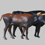 Aurochs bull and cow models