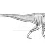 Giganotosaurus muscle study
