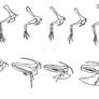 Theropod forelimb evolution