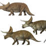 Triceratops over the centuries